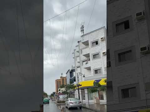 أندال وعرفنهم