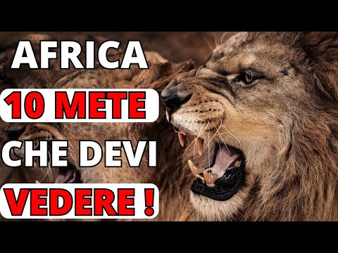 Video: Le 10 migliori destinazioni imperdibili per i safari africani