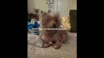 Not the best but I’m too lazy to edit it lol!😭🙌