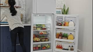 GE Appliances Top-Freezer Refrigerator with Wall-to-Wall Shelves