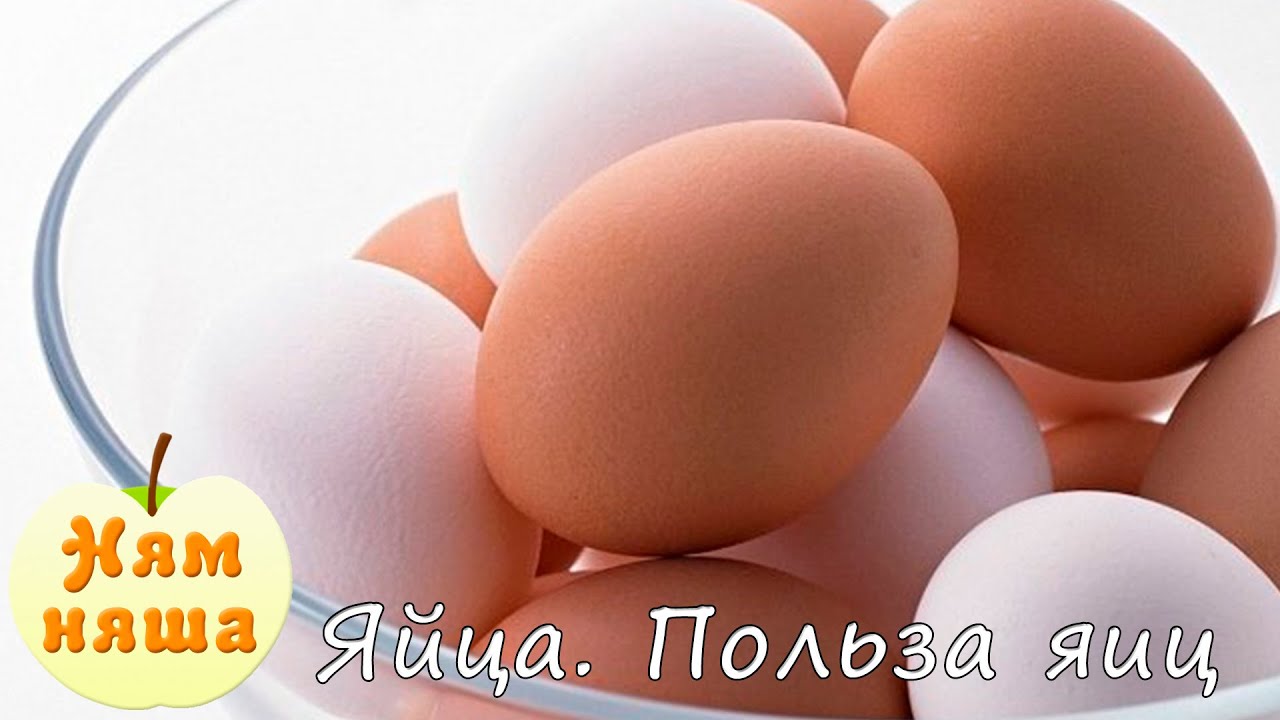Яйца. Польза яиц. Как готовить яйца - YouTube