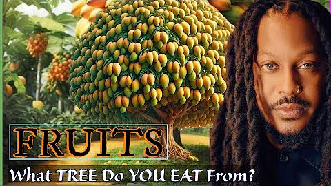 TREE OF LIFE || What FRUIT do you PRODUCE? || Prophet Lovy