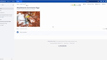 Comments Manager for Confluence Server / Data Center