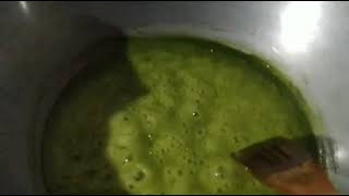 Resep Jamu Instant Dari Daun Kelor