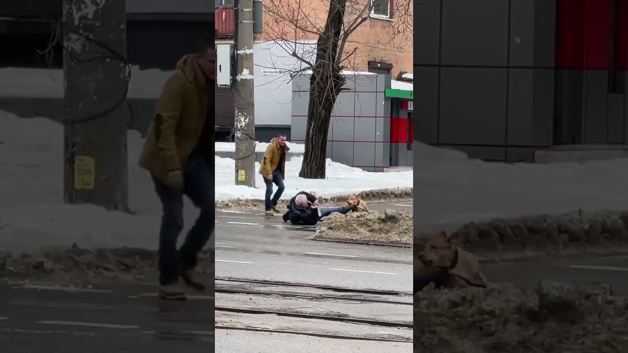 выгуливал собаку