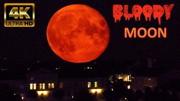 SUPER BLOOD MOON - EXTREME ZOOM - NIKON P1000