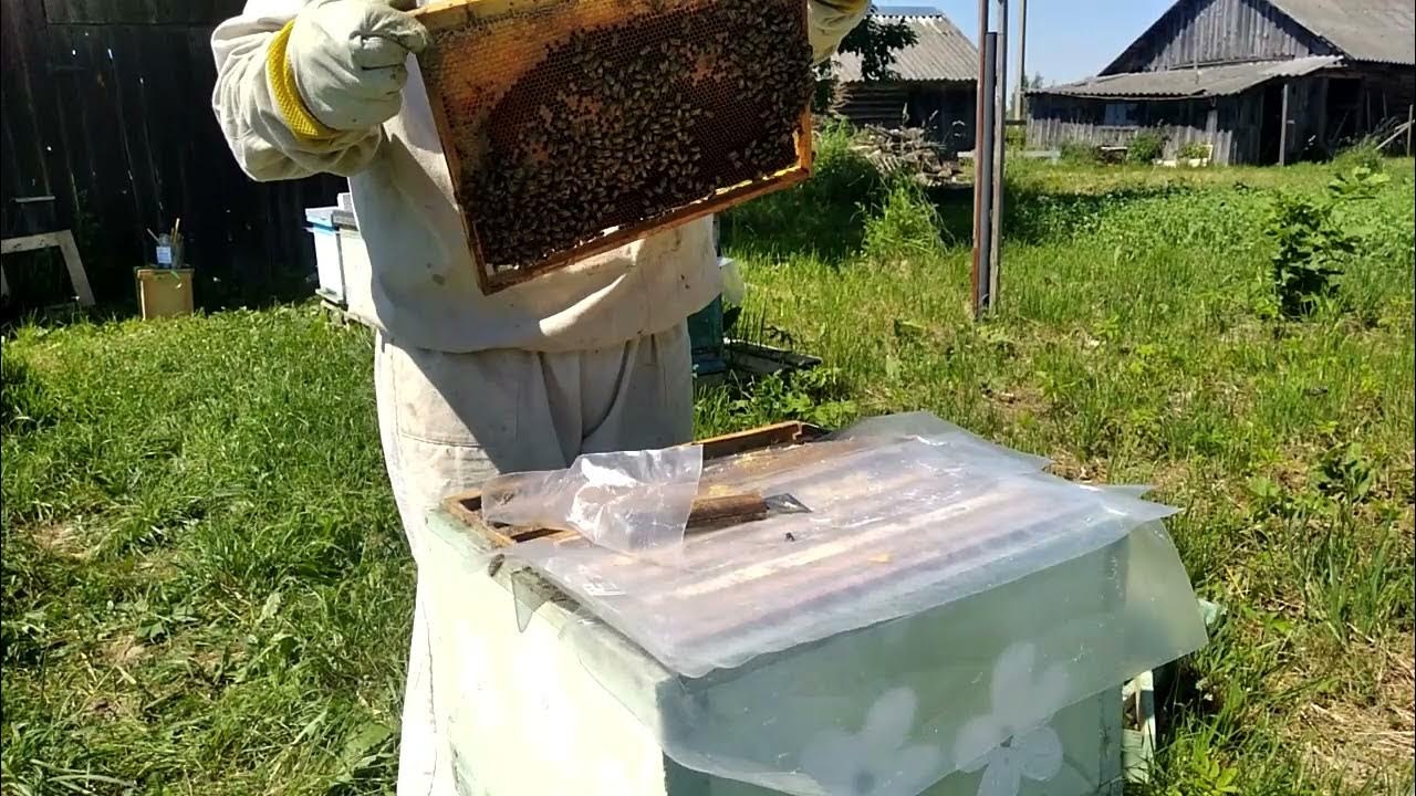 система автоматической пожарной сигнализации апс. апс пожарная сигнализация расшифровка. панский сот 145. улей биненхаус 8 рамочный. блок защиты линии для системы пожарной сигнализации.