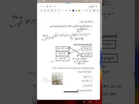 سؤال متوقع للاختبار القصير الاول علوم 7 أعضاء النبات واعضاء جسم الانسان بعمان 