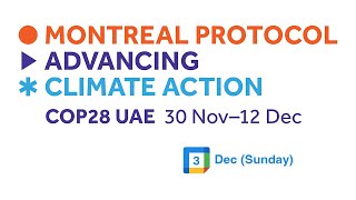 COP28 - 3 December (Sunday)