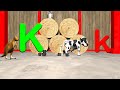 Exploring the Letter K