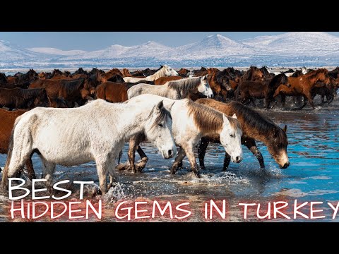 Best Hidden Gems of, Turkey, Kayseri, wild horses, Aerial Views