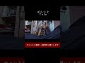 ぱらいそ / Tele 歌ってみた ③