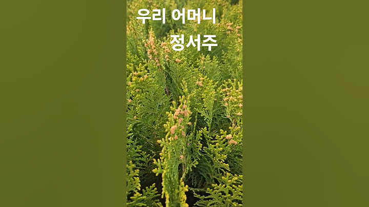 여기도 꽃이피네요#정서주#우리어머니#미스트롯2#Shorts