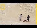 رحلة في مصر مع أعظم مستكشف في العالم:الحلقة 1 - كنوز خفية  | ناشونال جيوغرافيك أبوظبي