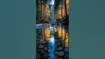 آيات تشرح الصدر 🌿 | #قرآن_كريم #راحة
