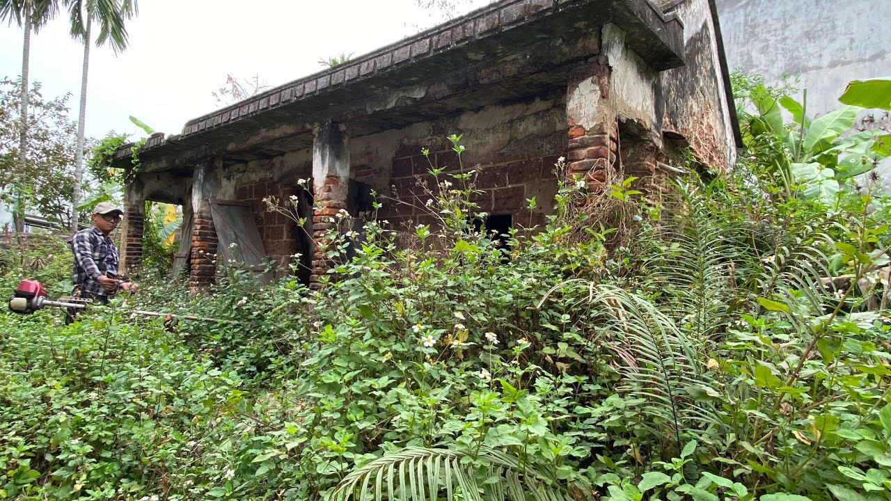 Cleaning an Abandoned House over 100 Years old Cutting the Overgrown Grass Clean Inspiration