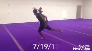 Celebrity Summer Sampler 2017 Wealth