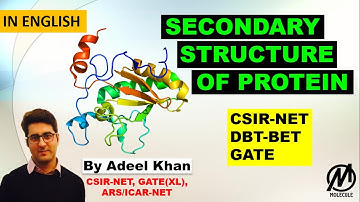 SECONDARY STRUCTURE OF PROTEIN || PROTEIN STRUCTURE || CSIR-NET, ICMR, DBT, GATE(XL) || M.Sc.