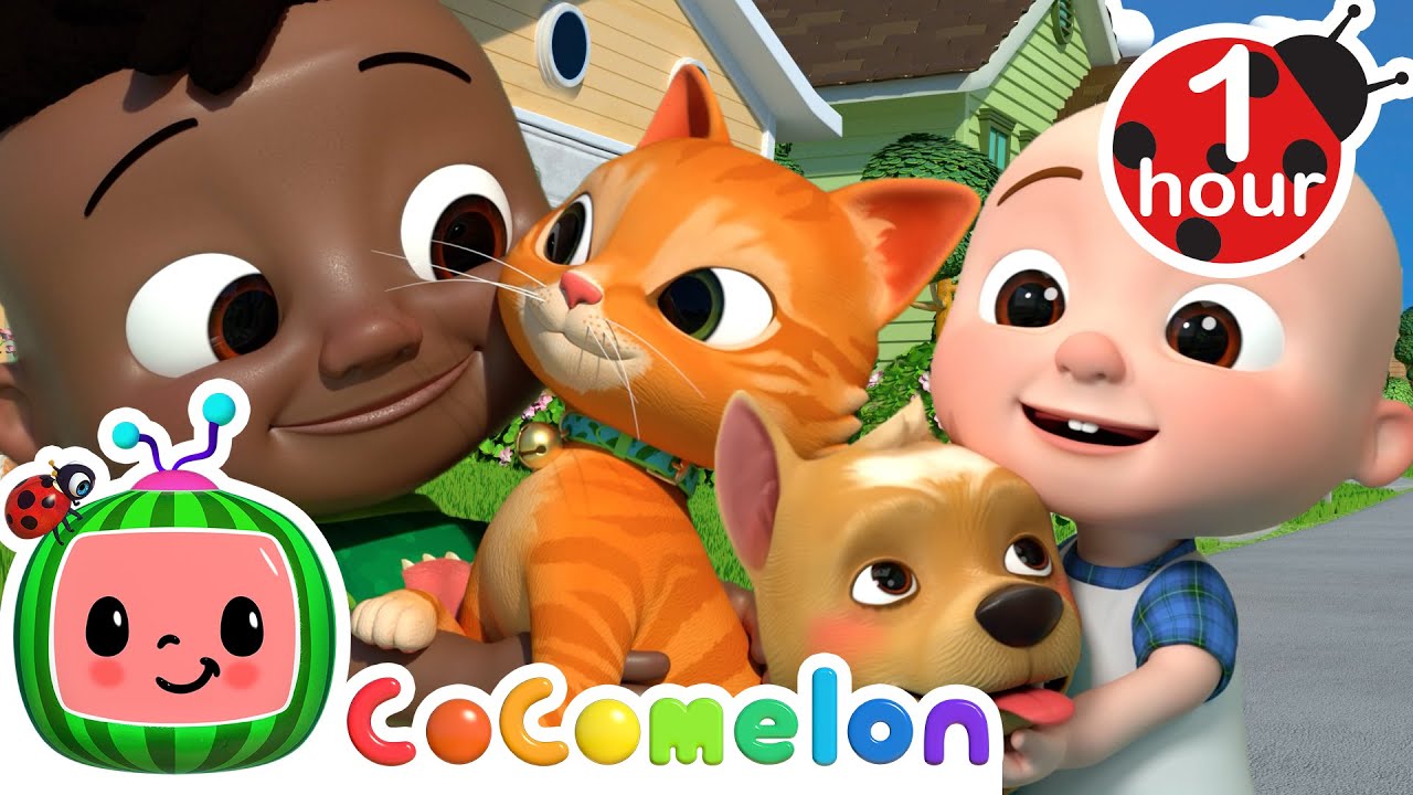 Pet Care Song + More Animal Time for Kids | CoComelon Nursery Rhymes ...