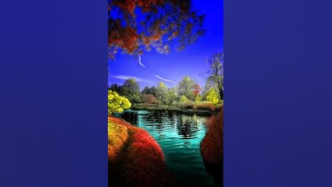 (ولو فتحنا عليهم باباً من السماء٠٠٠٠٠٠) تلاوة خاشعة بصوت الشيخ هزاع البلوشي 💫💫