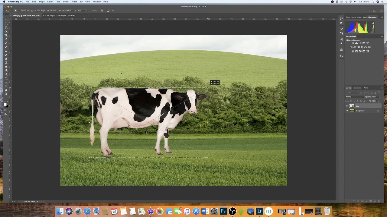 how to fill an image in photoshop with another image