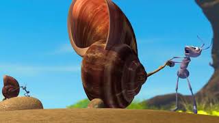 Vida de insetos formigas -- Filmes e Desenhos Animados