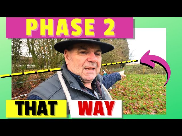 Phase 2