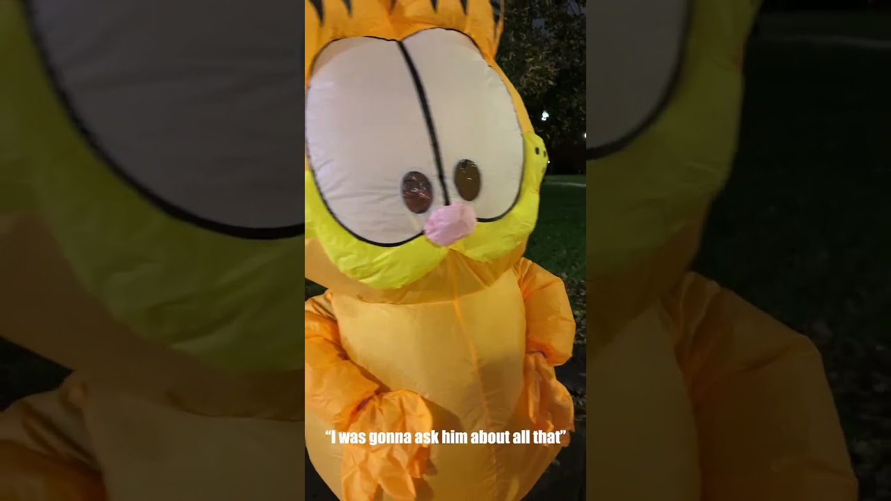 Garfield's Wild Ride