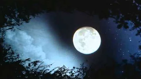 The Moon Represents My Heart - English lyrics - DayDayNews