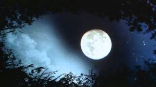 The Moon Represents My Heart - English lyrics chords
