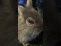 I†M Sorry рџђ I†M Sorry рџђ