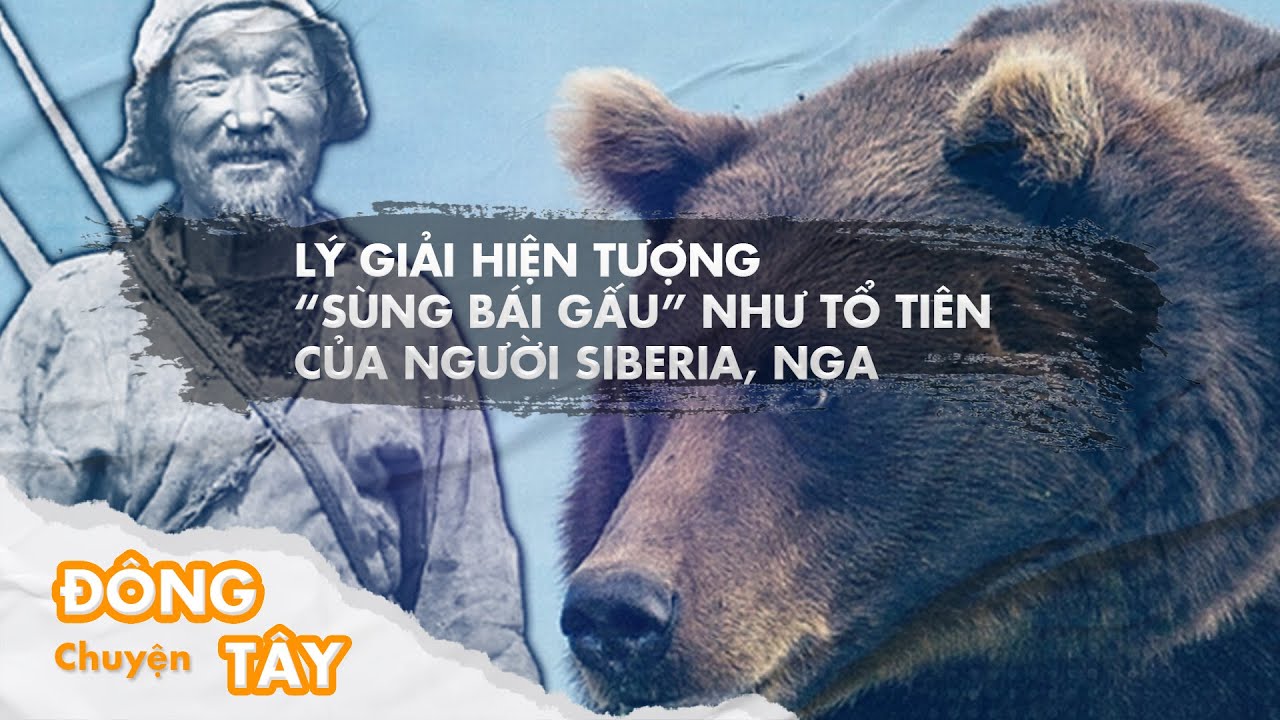 Lý giải hiện tượng “sùng bái gấu” như tổ tiên của người Siberia, Nga | VTC Now