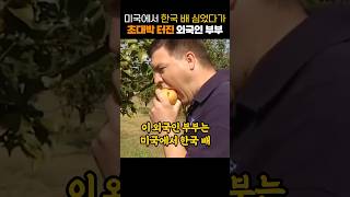 미국에서 한국 배 심었다가 초대박 터진 외국인 부부