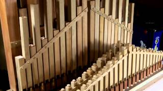 48 Key organ new build plays The Muppets theme