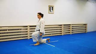 Aikido - standing and sitting exercise