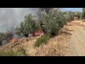 Βοιωτία: Μεγάλη φωτιά τώρα στην Ελλοπία
