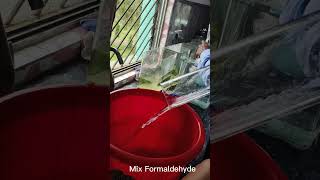 Download Lagu Formalin Formation to preserve the 🐟 😊 MP3