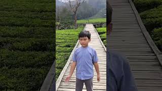 On Vacation Tea Walk With My Little Nak Buyung trending shorts viral vacation bandungbarat