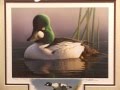 Duck Stamp Art