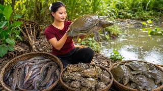 🔴 365 Days Harvesting Giant Softshell Turtles, Spiny Eels and Frogs for Market 🐢 | Rural Life