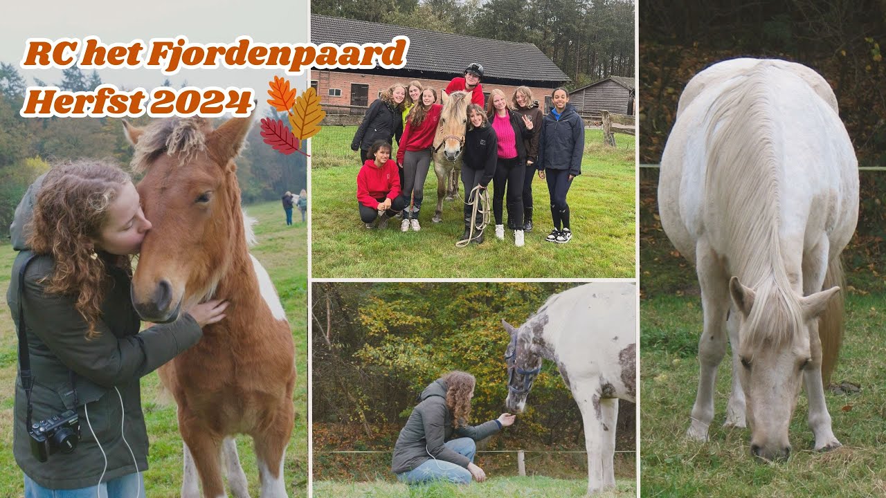 Rc het Fjordenpaard herfst 2024