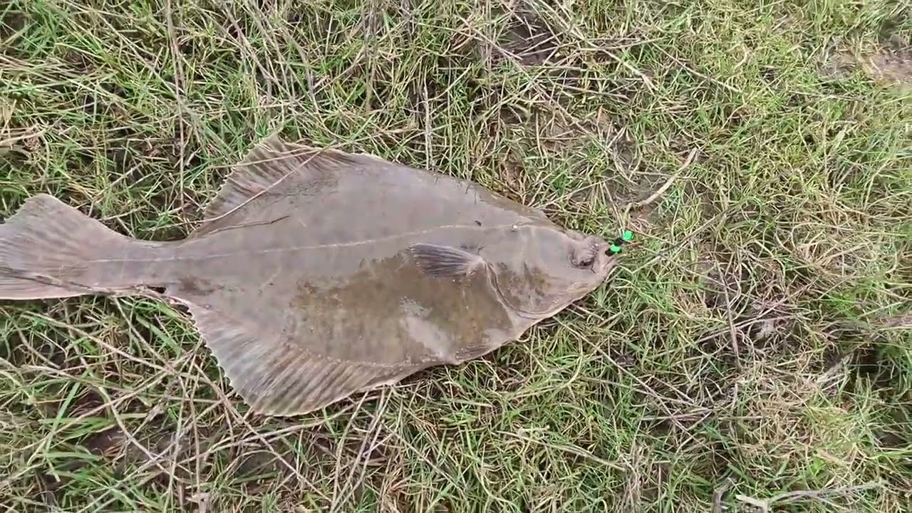 Pleasantly cold on the dirty Dee 