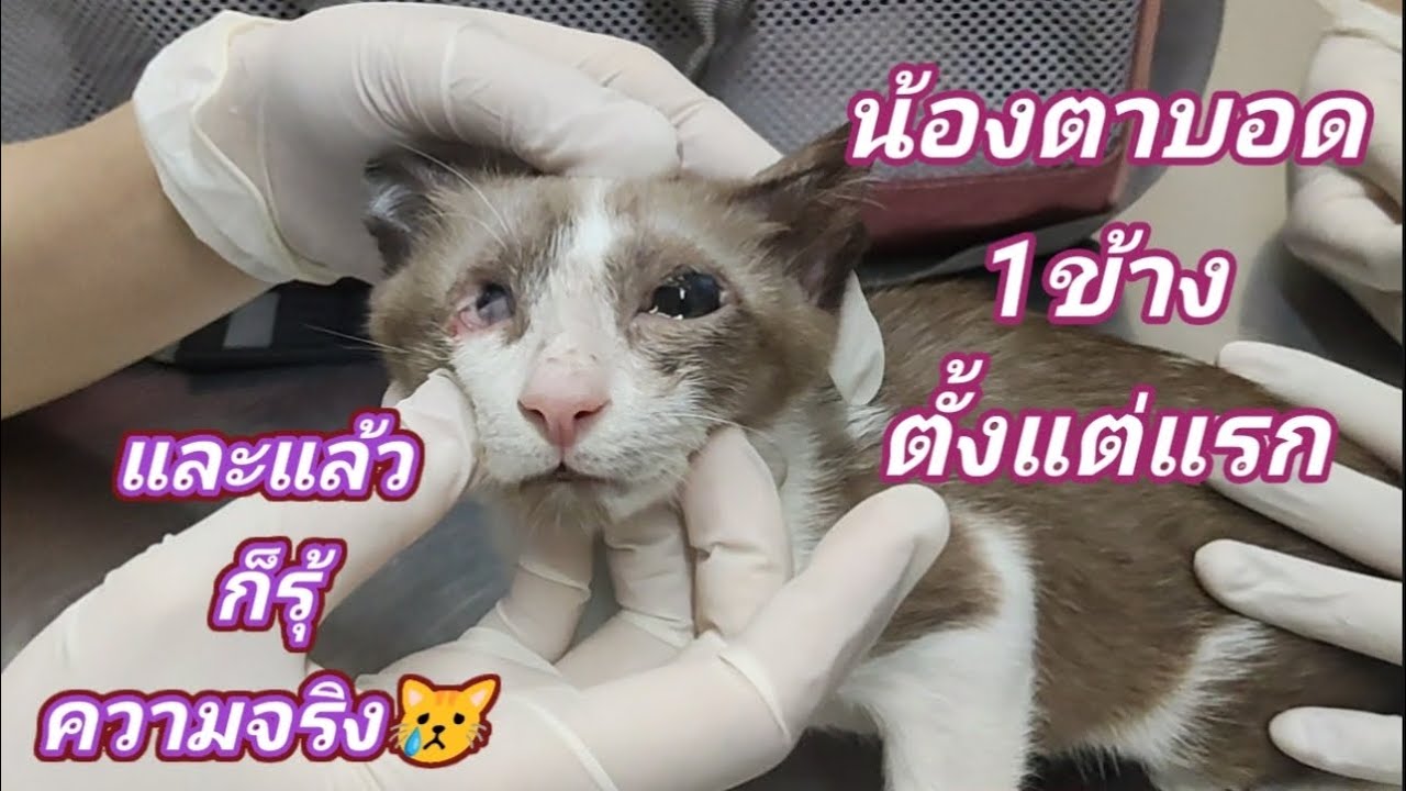 ไม่ว่าจะเป็นอย่างไรเราจะสู้ไปด้วยกันนะเจ้าตัวเล็ก#สงสารจับใจ😭