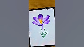 Crocus Flower 🌸💜 #procreate #shorts #watercolor #art