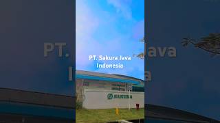 PT. Sakura Java Indonesia #cikarang #cikaranghits #kulipabrik #kulipabrikcikarang #PtSakura #mm2100