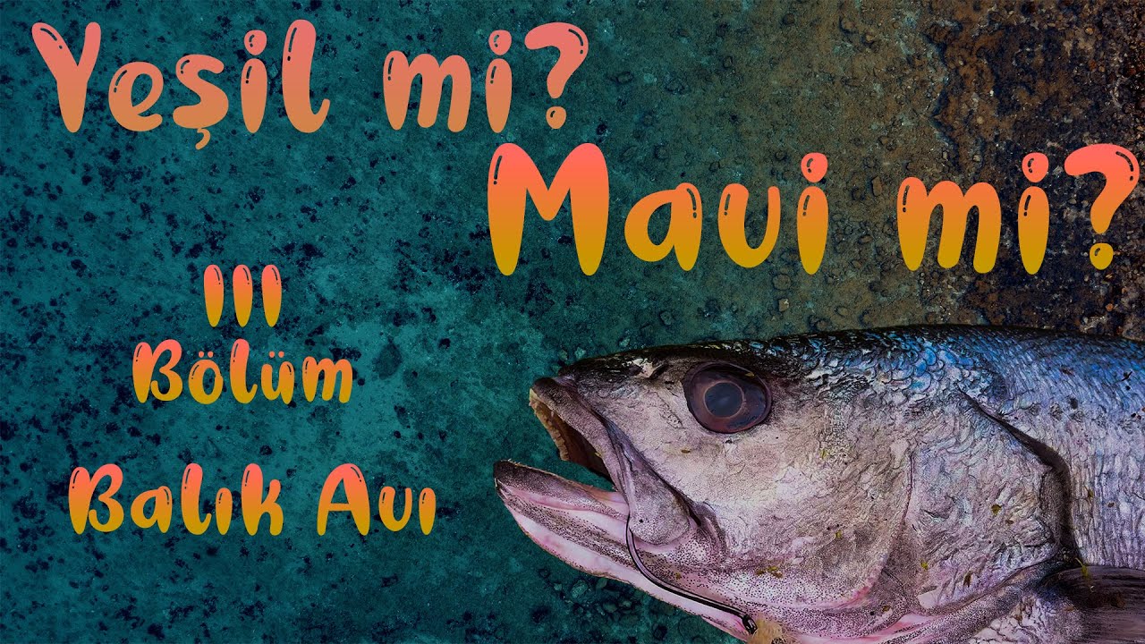 Yeşil mi Mavi mi ? | Üçüncü Bölüm: Pina ile Granyöz Avı (English Subtitles)