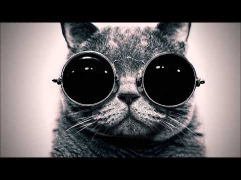 Green Velvet - Flash (Channel X Remix)
