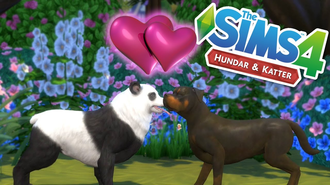 sims 4 hundar och katter nedladdning