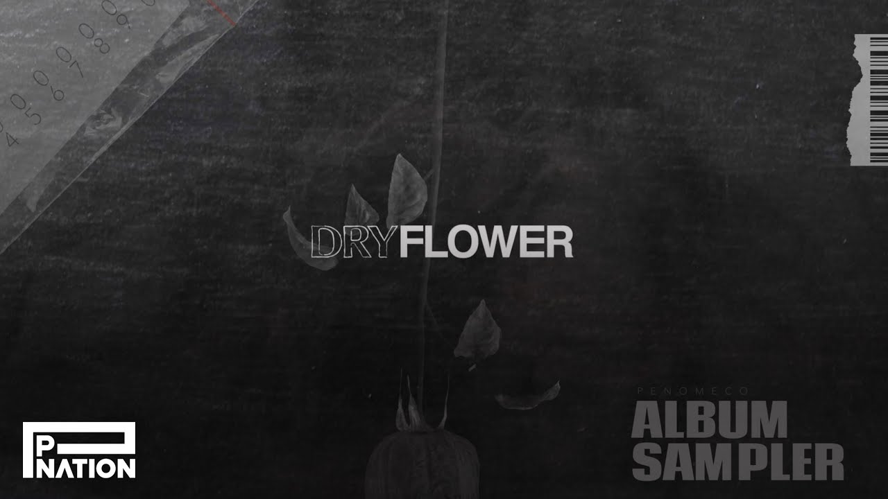 PENOMECO / DRY FLOWER / CD | Record CD Online Shop JET SET