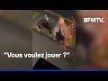 Ce Que L On Sait Sur Cette Violente Interpellation Policière Filmée à Noisiel En Seine Et Marne mp3